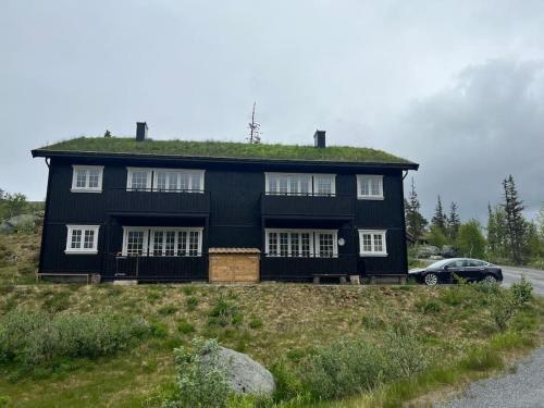 a black house with a grass roof on a hill at Gaustablikk - ski in & out apartment - Mountain View in Gaustablikk