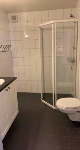 a bathroom with a shower with a toilet and a sink at Gaustablikk - ski in & out apartment - Mountain View in Gaustablikk