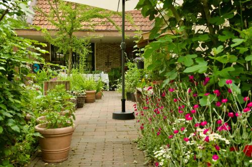 a garden with lots of plants and flowers at Theetuin en B & B 'De Theetuin' in Wijckel