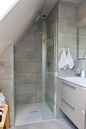 a bathroom with a shower and a sink at Theetuin en B & B 'De Theetuin' in Wijckel