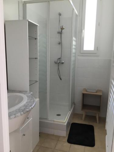 ein Bad mit einer Dusche und einem Waschbecken in der Unterkunft L olivier in Prades