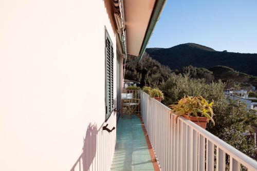 Bungali 30 - Goelba – Photos 3