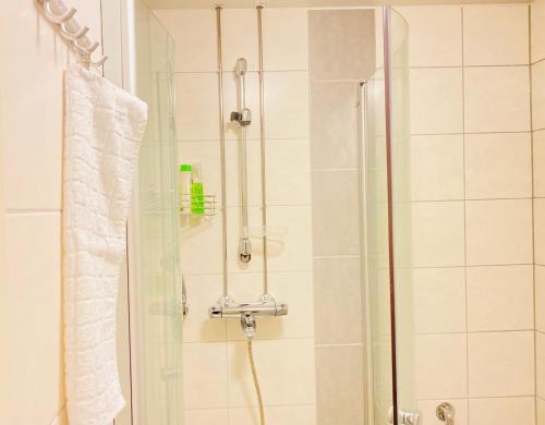 La salle de bains est pourvue d'une douche avec une porte en verre. dans l'établissement Itäkadun Studio Apartment, à Lahti