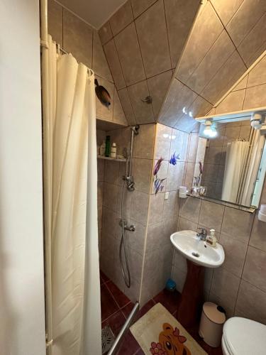 Koupelna v ubytování Brasov Place