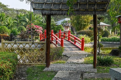 Κήπος έξω από το Suanphung Bonsai Village