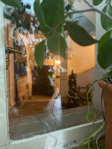 vista su un corridoio attraverso una finestra con una pianta di PIAZZETTA DEL FORNO appartamento ad Assergi
