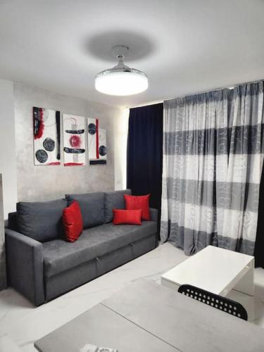 a living room with a gray couch and red pillows at Appartamento vista oceano a pochi passi dal mare in Playa Fañabe