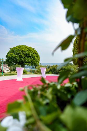 two pink vases on a red table with a tree at Dreilandhof in Loipersdorf bei Fürstenfeld