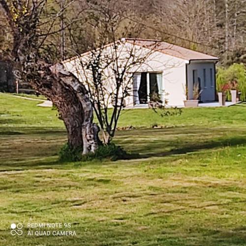 Les saules de Queyssac – Photos 2