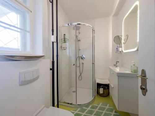 a bathroom with a shower and a sink at Romantischer Villenteil in der Barock- und Musikstadt Ochsenhausen in Ochsenhausen