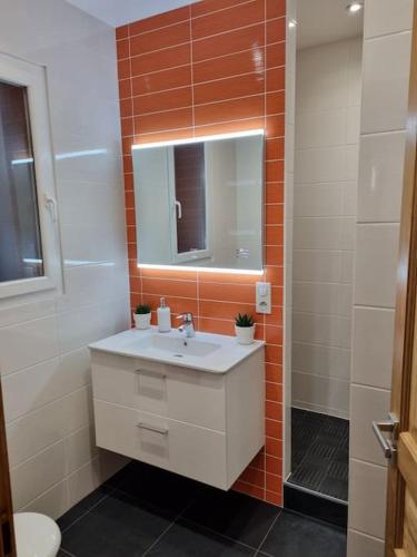 a bathroom with a sink and a mirror and a toilet at L'APPART'JEANNIN HYPER CENTRE in Dijon