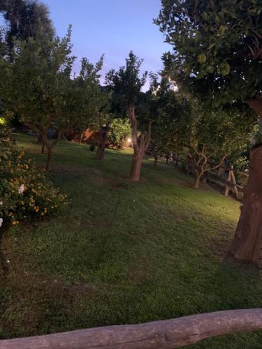 a park with trees and grass and a fence at My Place Home & Garden in Meta