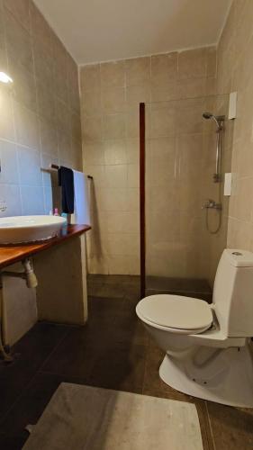 a bathroom with a toilet and a sink at Lemon Creek Hotel Resort in Bijilo