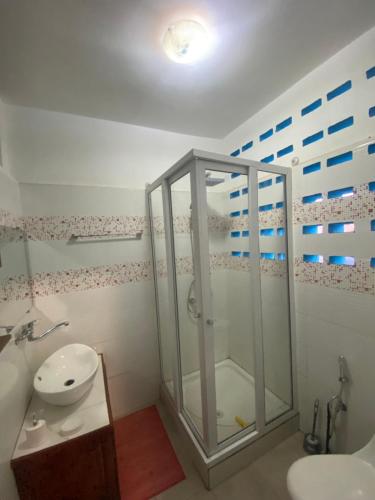 a bathroom with a shower and a sink at Résidence Beyt Salama - T1bis ou T4 in Diego Suarez