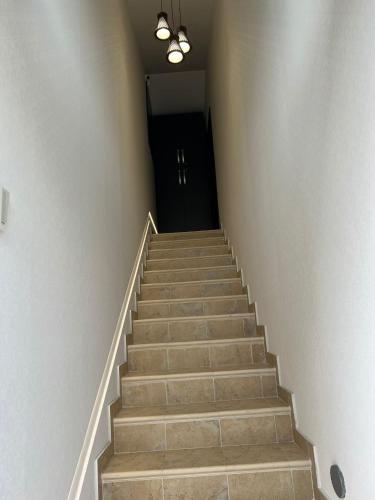 a stairway leading to a black door at Noblesse Bacău in Bacău