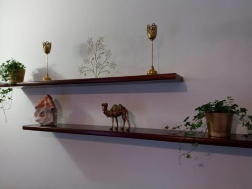 une étagère avec une figurine de chameau sur elle dans l'établissement Sara, à Fidenza
