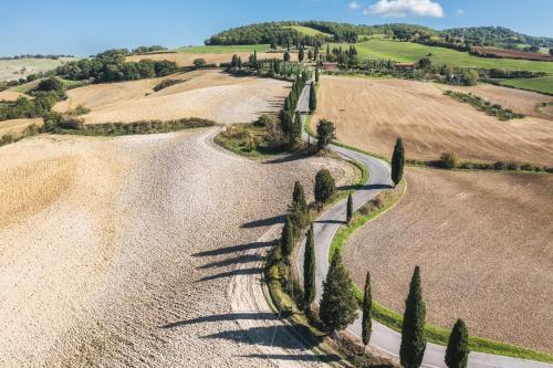 an overhead view of a road in a field with trees at Agriturismo La Casellina in Monticchiello