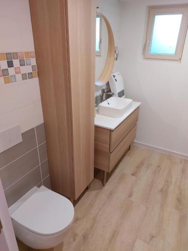 a bathroom with a toilet and a sink and a mirror at Gezellige luxe caravan met zwembad in zuid- Bourgogne in Anglure-sous-Dun