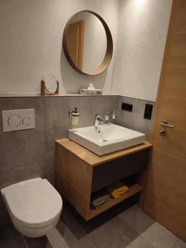 a bathroom with a sink and a toilet and a mirror at Mountain alpine in Kappl