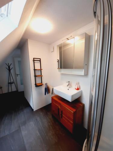 a bathroom with a white sink and a ladder at Ferienwohnung Stützengrün in Stützengrün
