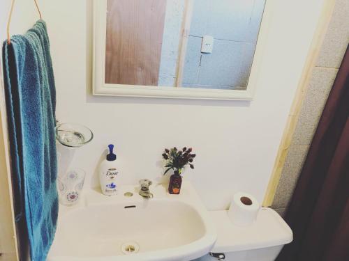 een badkamer met een wastafel, een spiegel en een toilet bij Tiny House, Tiny Black Frutillar in Frutillar