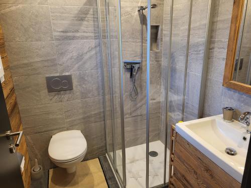 y baño con ducha, aseo y lavamanos. en Charmant loft situé à 10 minutes de Vercorin, en Rechy