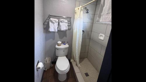 Bilik mandi di Anchorage Inn Lakeport