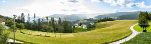a winding road in a green field with mountains in the background at Apartma Tia 2 in Zreče