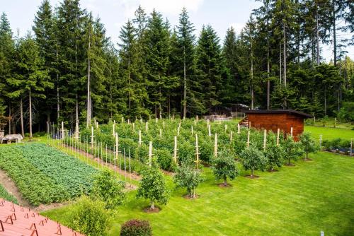 a garden with trees and plants in a field at Apartma Tia 2 in Zreče