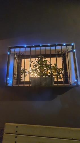 a light with a plant on a shelf with lights at Flamignano relax e natura in Tossicia