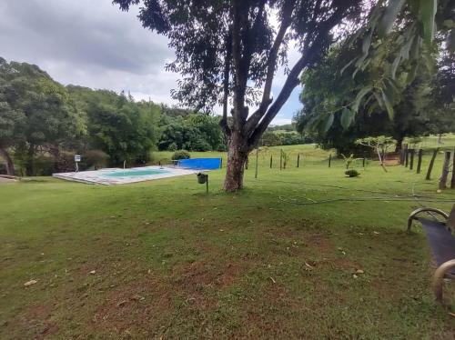 un árbol en medio de un campo con una piscina en Fazenda Di Tudo, en Pirenópolis