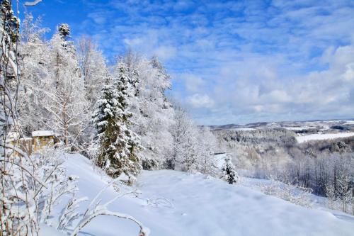 a snow covered forest with trees in the background at Komfortowy Dom w Chmurach in Dydnia