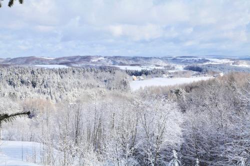 a snow covered forest with trees and a field at Komfortowy Dom w Chmurach in Dydnia