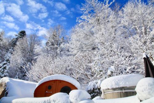 a snow covered yard with a dog house and trees at Komfortowy Dom w Chmurach in Dydnia