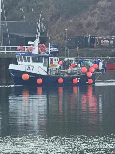 a boat is docked in a body of water at ARDUTHIE STREET in Stonehaven