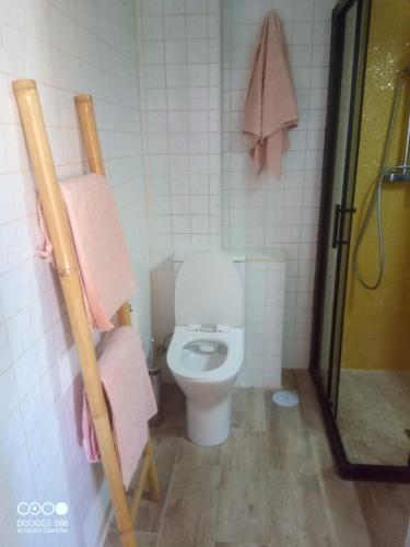 a bathroom with a toilet with pink towels and a shower at Coty's Beach, habitaciones en casa compartida in Benalmádena
