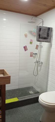 La salle de bains est pourvue d'une douche et de toilettes. dans l'établissement La casa de los murales, à Avellaneda
