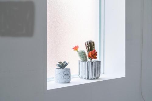 a shelf with three cactuses on it at Ling Inn in Kaohsiung