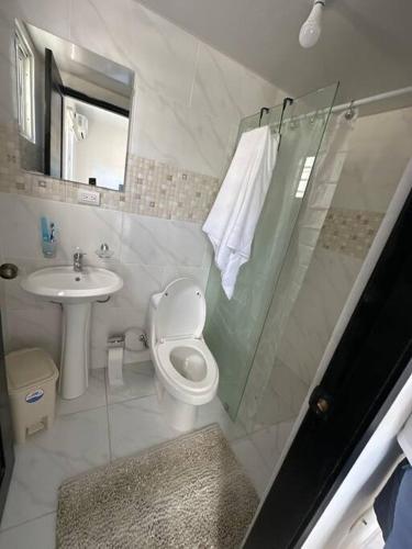 Cumayasa Kilómetros 4 1/2にあるCozy apartment Terrazas del Este La Romanaのバスルーム(トイレ、洗面台、シャワー付)