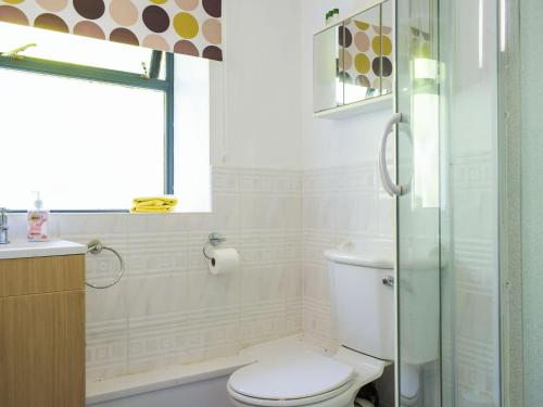 a bathroom with a toilet and a glass shower at Heyope Cottage in Llangunllo