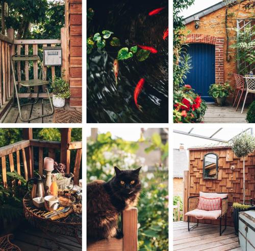 a collage of photos with a cat in a garden at La cabane du bon chemin ,spa in Laval