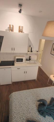 Begonia Studio 119