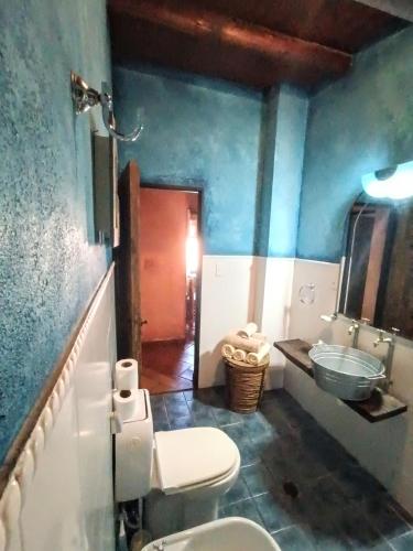 a bathroom with a white toilet and a sink at Casa Darragueira de Chacras de Coria in Chacras de Coria
