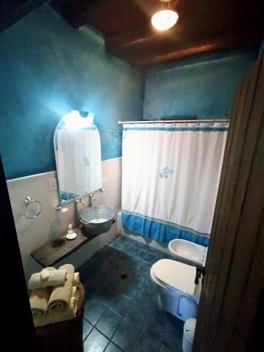a blue bathroom with a toilet and a sink at Casa Darragueira de Chacras de Coria in Chacras de Coria