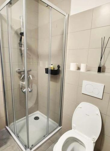 La salle de bains est pourvue d'une douche et de toilettes. dans l'établissement BRUSSELS EXPO APARTMENT, à Bruxelles