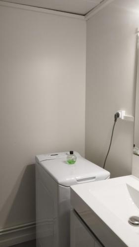 La salle de bains blanche est pourvue d'un lavabo et d'un comptoir. dans l'établissement Studio tout confort au bord du lac d'Estey, à Dax