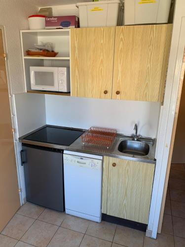 a small kitchen with a sink and a microwave at T2 PUY SAINT VINCENT in Puy-Saint-Vincent