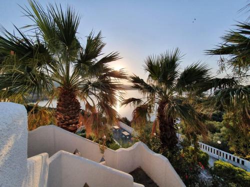 a view of palm trees from a building at Kis-Kis in Metókhion Ayías Kiriakís
