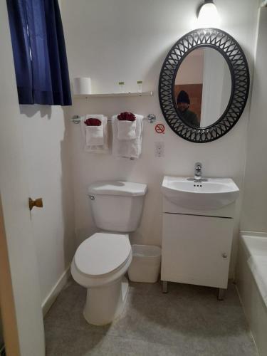 a bathroom with a toilet and a sink and a mirror at Three Island Motel in Bobcaygeon