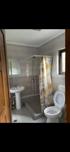 a bathroom with a toilet and a sink at Cabana la Pârvu in Achimeţeşti